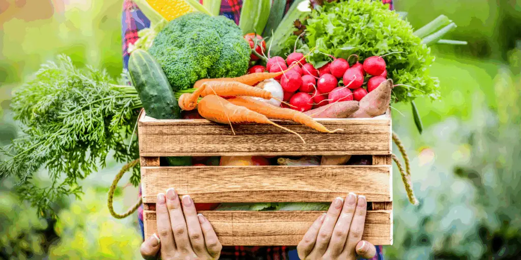 Une cliente dieptlus tient une caisse de légumes pleins de fibres alimentaires.