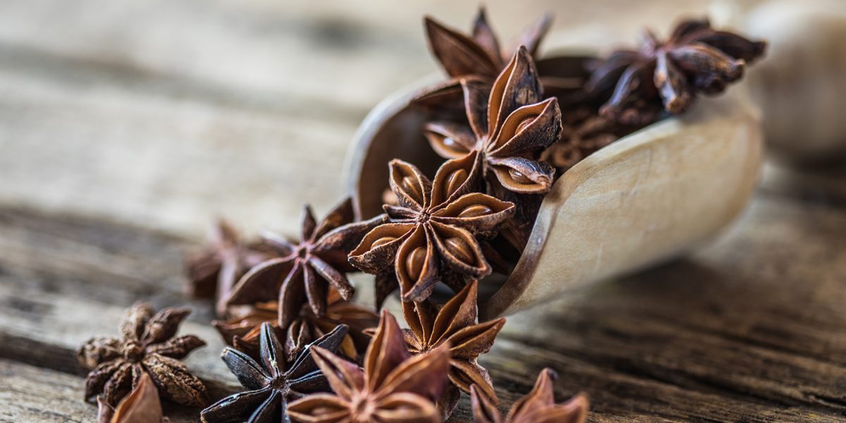 ANIS-ETOILE-1172×1181 ANIS-ETOILE-1172x1181