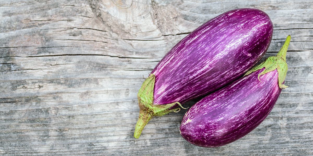 AUBERGINE-1200×600 AUBERGINE-1200x600