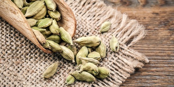 Cardamone-1200×600 Cardamone-1200x600