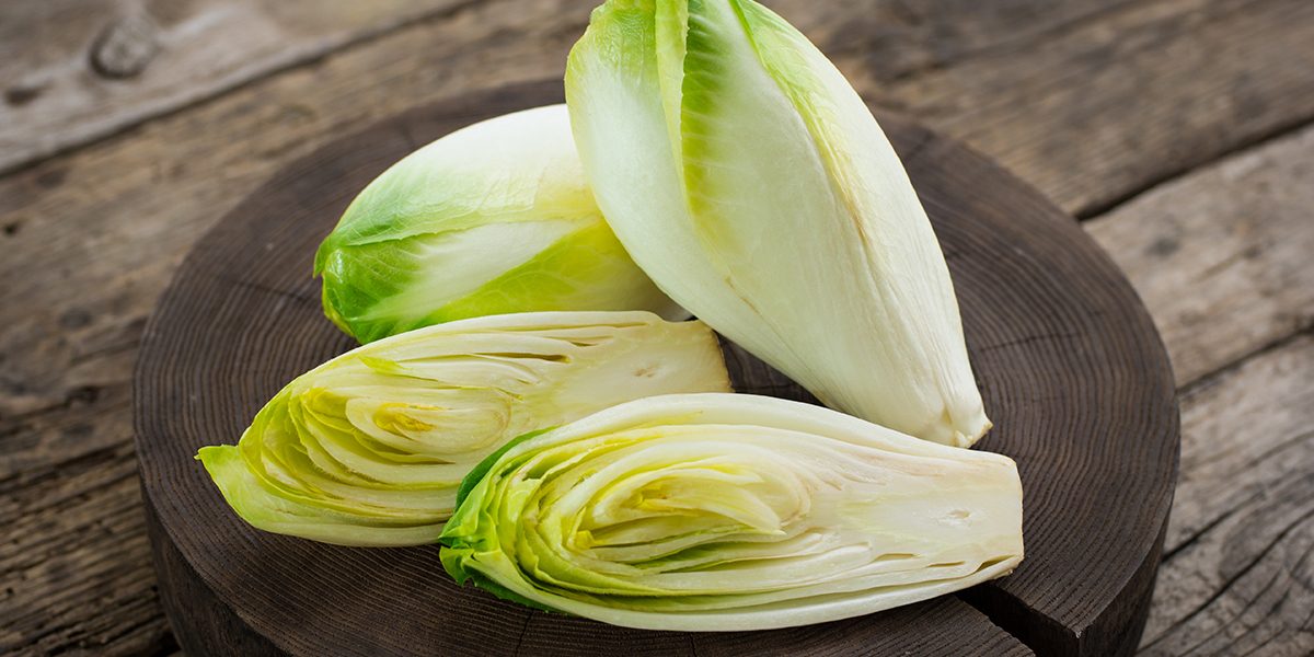 ENDIVE-1200x600