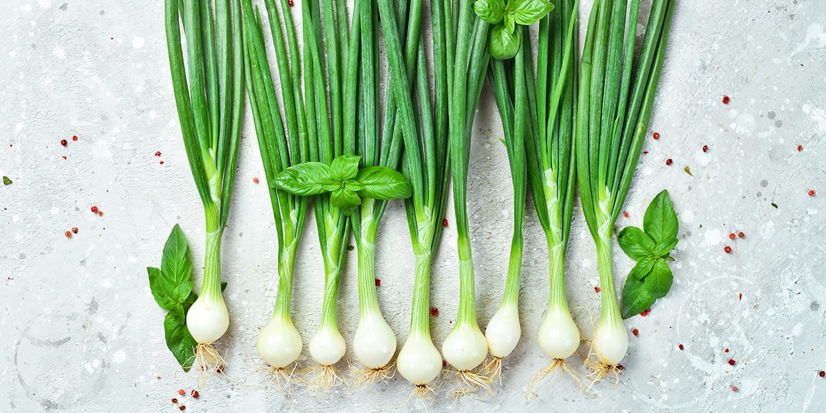 OIGNON-NOUVEAU-1200x600